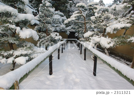 雪景色の京都高桐院 雪景色の京都高桐院 2311321