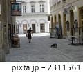 女性と犬、ウィーンの街角 2311561