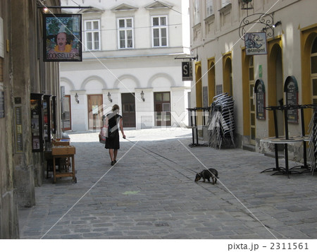 女性と犬、ウィーンの街角 2311561