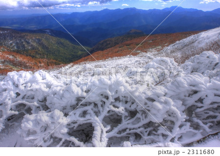 樹氷と秋の山岳風景 樹氷と秋の山岳風景 2311680