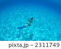 バハマでシュノ―ケリング 2311749