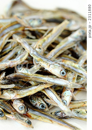 かたくちいわし 2311880