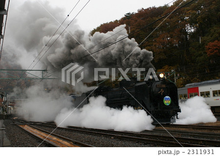 2311931