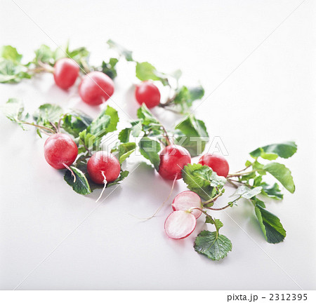 ラディッシュ 2312395