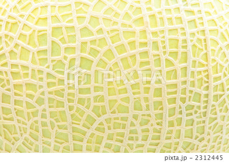 メロン メロン 2312445