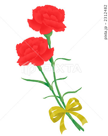 カーネーションのプレゼントのイラスト素材