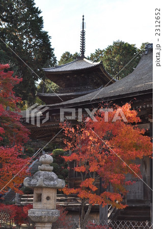 常楽寺　　国宝　本堂　三重塔　紅葉　 2312652