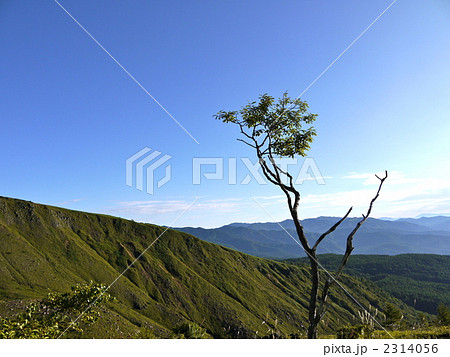 志賀草津道路 2314056