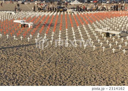 アーリントン・ウエスト 2314162