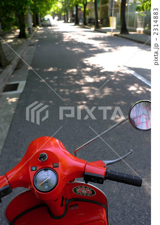 木漏れ日 2314883