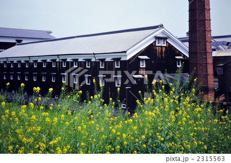 京都伏見　酒蔵の春 2315563