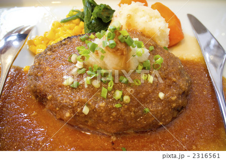 和風ハンバーグ 和風ハンバーグ 2316561