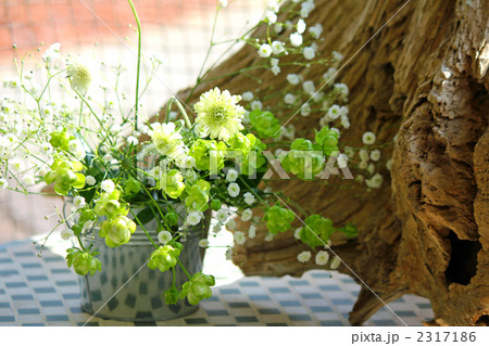 スカビオサとエクレール（スプレー薔薇） 2317186