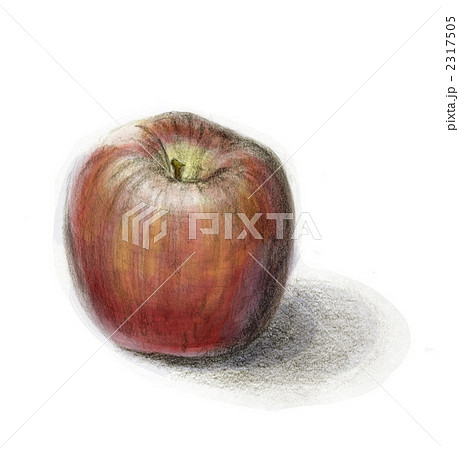 リンゴ 鉛筆デッサン デジタル着色済みのイラスト素材