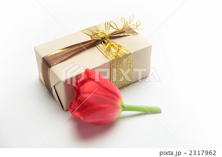 チューリップとプレゼント 2317962