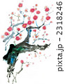 紅梅 2318246