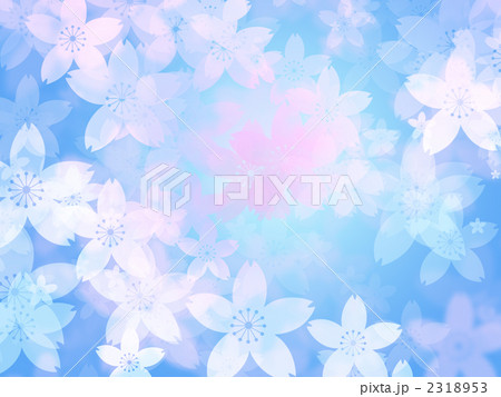 桜満開 2318953