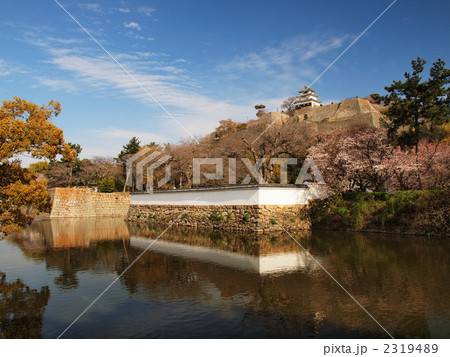 春の日の丸亀城 2319489