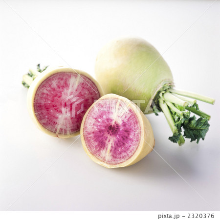 紅芯大根 紅芯大根 2320376