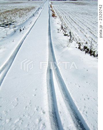 2320742