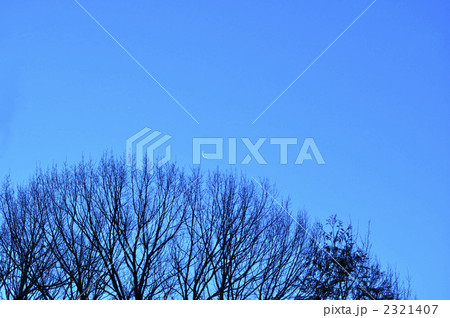 早朝の月 2321407