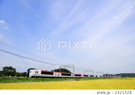 成田エクスプレス 2321528