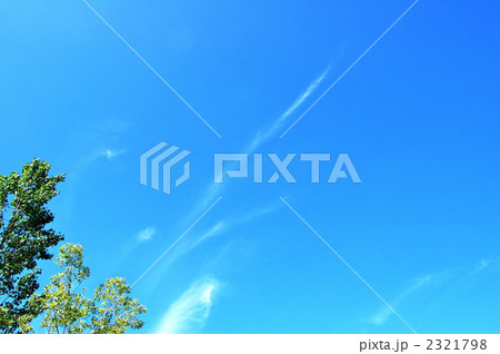 青空 2321798