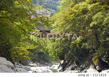 かずら橋 2321828