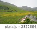 2322664