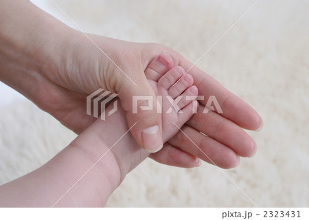 手と足のイメージ 手と足のイメージ 2323431