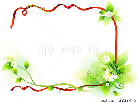 花/自然/動植物_960816_YXM006_01 花/自然/動植物_960816_YXM006_01 2323445