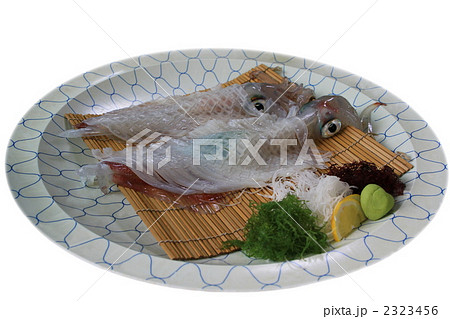 イカの姿造り 2323456