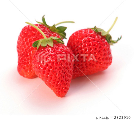 イチゴ 2323910