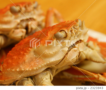 ずわいかに 2323943