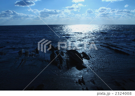 光る海岸 光る海岸 2324008