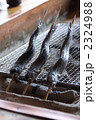 イワナの丸焼き 2324988