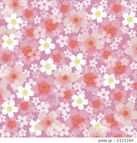 和柄 花柄 桜のイラスト素材