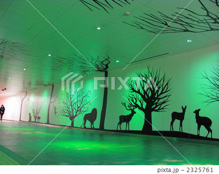 ルーセントアベニュー 2325761