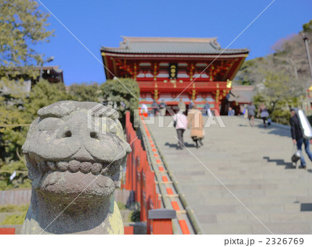 鎌倉 鶴岡八幡宮 狛犬越しに本宮を臨む  2326769