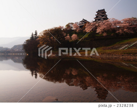 桜咲く大洲城 2328238