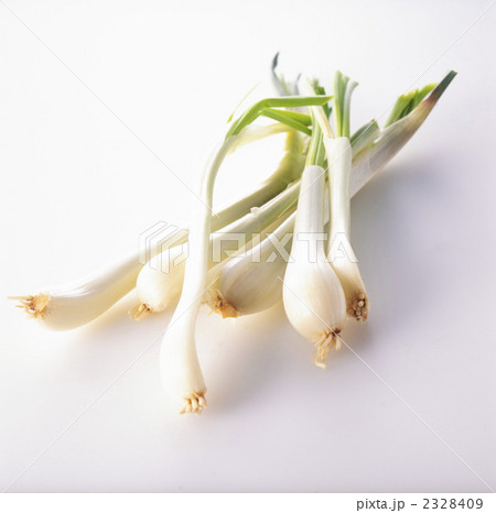 らっきょうエシャロット 2328409