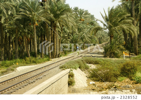 線路のあるナツメヤシ農場 2328552