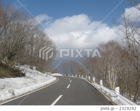 雪のある高原の道 2329202