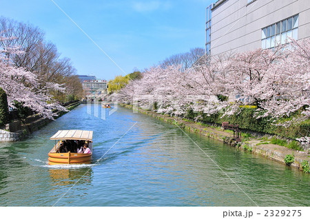 京都　岡崎　疎水　近代美術館横 2329275