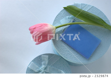 チューリップとプレゼント 2329874