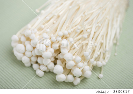 エノキダケ エノキダケ 2330317