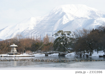 三島池伊吹山を望む 2331996