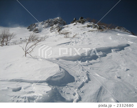 シュラカブとサギダルの頭 2332680