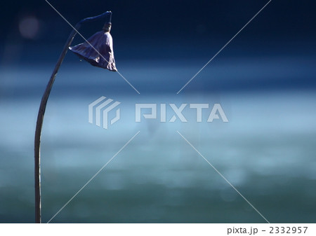 冬の情景 2332957