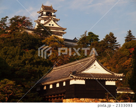 高知城秋景 2333093